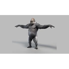 silverback gorilla 3D model